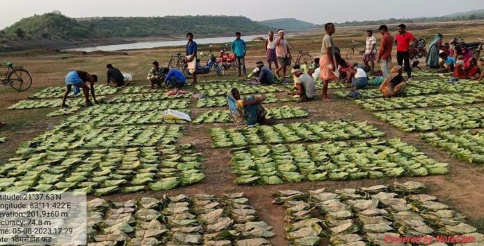 विशेष लेख : तेंदूपत्ता संग्रहण 500 करोड़ रूपए से पार : संग्राहकों में बिखरी खुशियां अपार