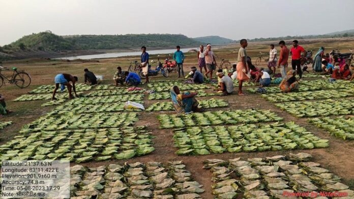 Chhattisgarh : तेंदूपत्ता संग्राहकों को मिलेगा 424 करोड़ से अधिक का प्रोत्साहन पारिश्रमिक