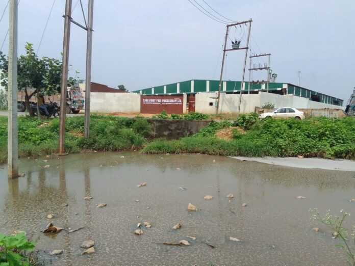 Basantpur Rice Mill के द्वारा फैल रहा प्रदूषण...बदबू से आमजन परेशान