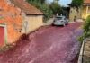 Portuguese town flooded with red wine after a liquor barrel accident