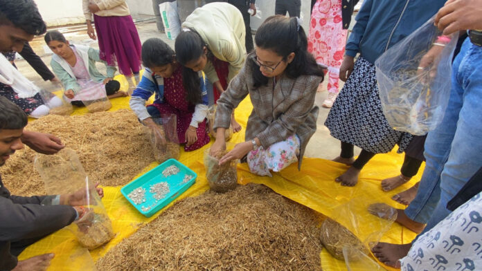 1733730514_73a96299f5d7a1134b2e