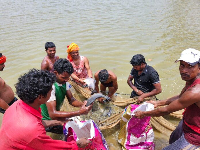 अम्बिकापुर : शासकीय योजना से मिली रोजगार की राह, दिनेश सिंह ने मत्स्य पालन से बनाई अपनी पहचान, अन्य लोगों को दे रहे हैं रोजगार