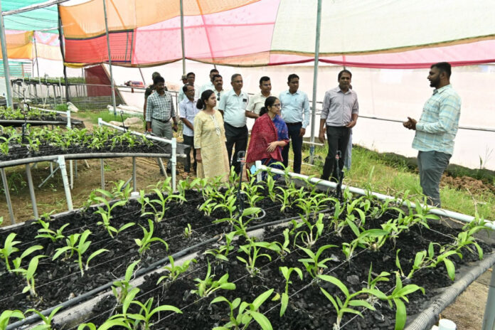 विशेष लेख : विकास की नई इबारत: धमतरी में बदलते ग्रामीण परिदृश्य की कहानी