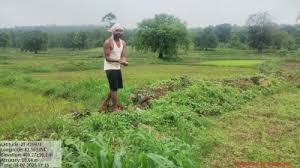 3 इको पर्यटन के साथ कृषि पर्यटन को जोड़ने वन विभाग की पहल