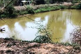 3 मनरेगा की डबरी से खेतों में हरियाली... चेहरे पर मुस्कान