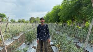 3 - Copy किसान हितैषी सरकार की योजनाओं से बन रहे स्वालंबी