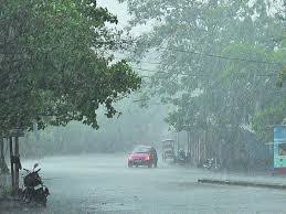 3 - Copy CG News : प्रदेश में अब तक 916.8 मि.मी. औसत वर्षा दर्ज