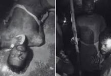 UP mob lynching : दलित परिवार को घर में बंद कर रखा है, मुझसे न मिलने के लिए उन्हें धमकाया गया-राहुल UP mob lynching : दलित परिवार को घर में बंद कर रखा है, मुझसे न मिलने के लिए उन्हें धमकाया गया-राहुल