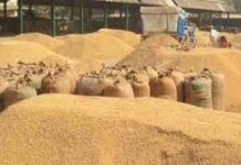 अवैध धान भंडारण पर कार्यवाही, दो प्रतिष्ठानों से कुल 152 कट्टा धान जप्त अवैध धान भंडारण पर कार्यवाही, दो प्रतिष्ठानों से कुल 152 कट्टा धान जप्त