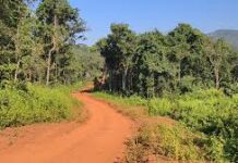 सुकमा : मरईगुड़ा वन में प्रशासन की त्वरित कार्रवाई ने टाल दी बड़ी घटना सुकमा : मरईगुड़ा वन में प्रशासन की त्वरित कार्रवाई ने टाल दी बड़ी घटना