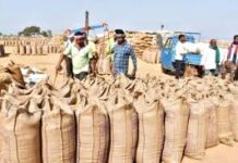 बालोद : समर्थन मूल्य में धान खरीदी का कार्य आवश्यक सेवा (एस्मा) में शामिल बालोद : समर्थन मूल्य में धान खरीदी का कार्य आवश्यक सेवा (एस्मा) में शामिल