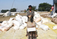 बलरामपुर : तुम्हर टोकन से आसान हुई धान खरीदी…. बलरामपुर : तुम्हर टोकन से आसान हुई धान खरीदी....