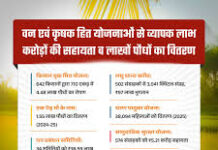 हरियाली से आर्थिक रूप से सशक्त हुए मोहला जिले के ग्रामीण हरियाली से आर्थिक रूप से सशक्त हुए मोहला जिले के ग्रामीण