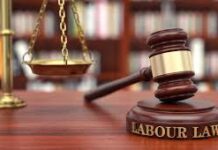 श्रम कानूनों का गंभीरता से पालन सुनिश्चित कराएं-सचिव, सह-श्रमायुक्त गुप्ता श्रम कानूनों का गंभीरता से पालन सुनिश्चित कराएं-सचिव, सह-श्रमायुक्त गुप्ता