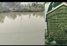 डबरी निर्माण से बदली किसान कुंवर सिंह की किस्मत डबरी निर्माण से बदली किसान कुंवर सिंह की किस्मत