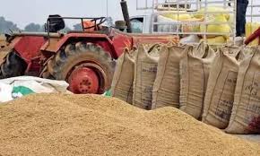 111 - Copy जगदलपुर : अवैध धान रोकने और केंद्रों के निरीक्षण हेतु कलेक्टर का सख्त आदेश