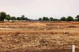 111 - Copy एमसीबी : खसरा नंबर 217 में अवैध प्लाटिंग और रकबा वृद्धि की शिकायत पर प्रशासन सख्त, 5 व 6 जनवरी को स्थलों की होगी जांच