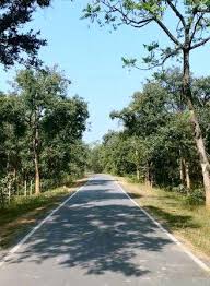 111 - Copy पीएम जनमन योजना से बदली ग्राम बांसकुड़ा कमार बस्ती की तस्वीर