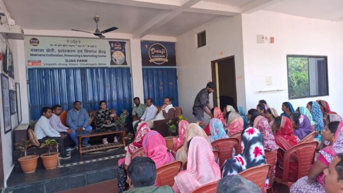 2 मखाना खेती से बदलेगी धमतरी की ग्रामीण महिलाओं की आर्थिक तस्वीर