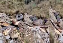 जम्मू-कश्मीर में बड़ा हादसा : डोडा में सेना का वाहन गहरी खाई में गिरा, दस जवानों की जान गई; 10 घायल जम्मू-कश्मीर में बड़ा हादसा : डोडा में सेना का वाहन गहरी खाई में गिरा, दस जवानों की जान गई; 10 घायल