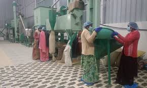 111 - Copy विशेष लेख : सशक्त मानसिकता से आत्मनिर्भरता की ओर: पोषण निर्माण में अहम भूमिका निभा रही हैं सूरजपुर की महिलाएं