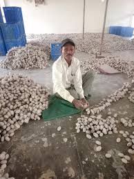 111 - Copy तसर पालन ने बदल दी जिंदगी - ग्राम सलोरा के किसान भरत राम केवट बने आत्मनिर्भर