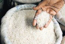 सूरजपुर : अवैध संग्रहित 120 बोरी चावल पर की गई जप्ती की कार्यवाही सूरजपुर : अवैध संग्रहित 120 बोरी चावल पर की गई जप्ती की कार्यवाही