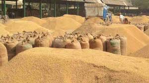 abdul rajjak महासमुंद : जिले में अवैध धान पर सख्त कार्रवाई, 2250 कट्टा धान एवं धान से भरा एक ट्रक जब्त