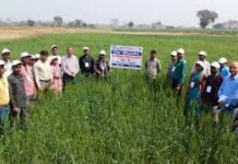 अंतर-राज्यीय कृषि सहयोग की मिसाल : झारखंड के कृषकों ने सीखी उन्नत एवं जलवायु अनुकूल खेती की तकनीकें अंतर-राज्यीय कृषि सहयोग की मिसाल : झारखंड के कृषकों ने सीखी उन्नत एवं जलवायु अनुकूल खेती की तकनीकें