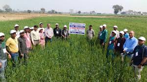 111 - Copy अंतर-राज्यीय कृषि सहयोग की मिसाल : झारखंड के कृषकों ने सीखी उन्नत एवं जलवायु अनुकूल खेती की तकनीकें