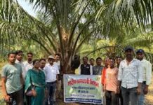 छत्तीसगढ़ के किसानों ने ओडिशा में देखी ऑयल पाम की खेती छत्तीसगढ़ के किसानों ने ओडिशा में देखी ऑयल पाम की खेती