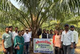 111 - Copy छत्तीसगढ़ के किसानों ने ओडिशा में देखी ऑयल पाम की खेती