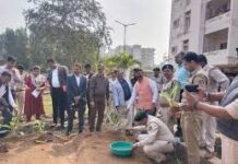 हाइड्रोपोनिक्स से टेरेस गार्डन को मिल रही नई दिशा…छत्तीसगढ़ वन निगम की पहल हाइड्रोपोनिक्स से टेरेस गार्डन को मिल रही नई दिशा...छत्तीसगढ़ वन निगम की पहल