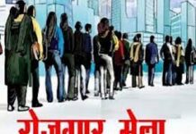 संभाग स्तरीय रोजगार मेले का आयोजन 12 से 17 फरवरी तक, युवाओं को मिलेगा निजी क्षेत्र में रोजगार का अवसर संभाग स्तरीय रोजगार मेले का आयोजन 12 से 17 फरवरी तक, युवाओं को मिलेगा निजी क्षेत्र में रोजगार का अवसर