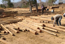 वन विकास निगम में ‘डिजिटल क्रांति‘ और ‘रोजगार संगम‘ का सफल मॉडल वन विकास निगम में ‘डिजिटल क्रांति‘ और ‘रोजगार संगम‘ का सफल मॉडल