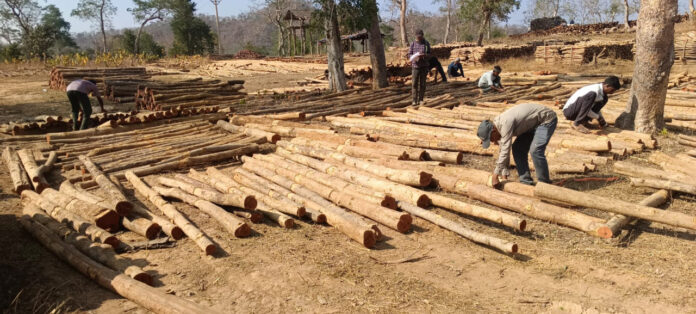 2 वन विकास निगम में ‘डिजिटल क्रांति‘ और ‘रोजगार संगम‘ का सफल मॉडल