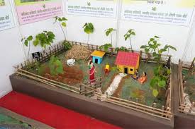 abdul rajjak किसान मेले में औषधीय एवं सुगंधित पौधों की खेती के प्रति किसानों में बढ़ी रूझान