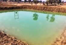 राष्ट्रीय ग्रामीण रोजगार गारंटी योजना: मजबूत हुई आजीविका की राह राष्ट्रीय ग्रामीण रोजगार गारंटी योजना: मजबूत हुई आजीविका की राह