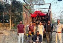 खैर लकड़ी की अंतर्राज्यीय तस्करी का भंडाफोड़…चांपा के गुप्त गोदाम पर छापा, वन विभाग की बड़ी कार्रवाई खैर लकड़ी की अंतर्राज्यीय तस्करी का भंडाफोड़...चांपा के गुप्त गोदाम पर छापा, वन विभाग की बड़ी कार्रवाई