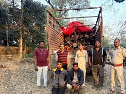 abdul rajjak खैर लकड़ी की अंतर्राज्यीय तस्करी का भंडाफोड़...चांपा के गुप्त गोदाम पर छापा, वन विभाग की बड़ी कार्रवाई