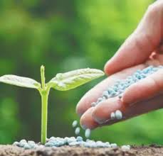 abdul rajjak मोहला : खरीफ 2026 के लिए उर्वरकों का अग्रिम उठाव 1 फरवरी से शुरू