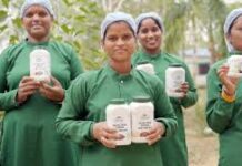 एलोवेरा आधारित पर्सनल केयर उत्पादों से पहचान बना रहा दुगली का वन धन विकास केंद्र एलोवेरा आधारित पर्सनल केयर उत्पादों से पहचान बना रहा दुगली का वन धन विकास केंद्र