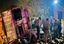 रायपुर में डीपीएस स्कूल के पास बड़ा हादसा : धान से लदा ट्रक कार पर पलटा,ड्राइवर समेत 3 की मौत रायपुर में डीपीएस स्कूल के पास बड़ा हादसा : धान से लदा ट्रक कार पर पलटा,ड्राइवर समेत 3 की मौत