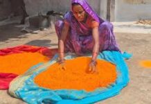 हर्बल गुलाल से और भी रंगीली होगी होली : विभिन्न रंगों और आकर्षक पैकेजिंग के साथ समूह द्वारा निर्मित हर्बल गुलाल हर्बल गुलाल से और भी रंगीली होगी होली : विभिन्न रंगों और आकर्षक पैकेजिंग के साथ समूह द्वारा निर्मित हर्बल गुलाल