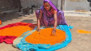 download (2) हर्बल गुलाल से और भी रंगीली होगी होली : विभिन्न रंगों और आकर्षक पैकेजिंग के साथ समूह द्वारा निर्मित हर्बल गुलाल