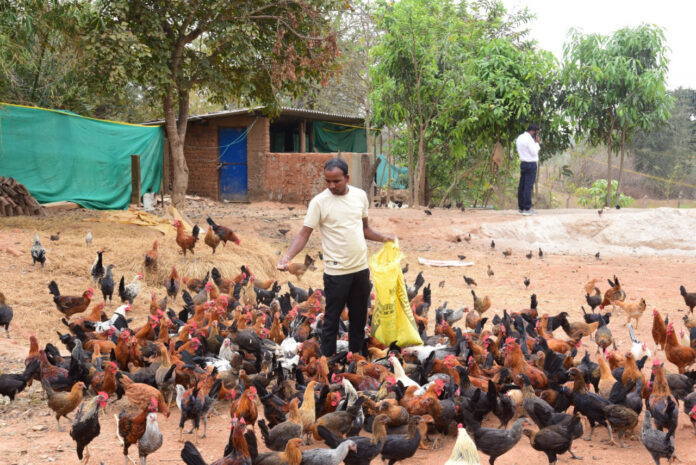 मछली पालन के साथ समन्वित कृषि प्रणाली अपनाकर पाकलू मरकाम बने समृद्ध कृषक