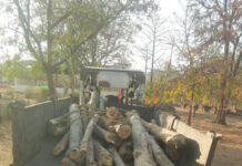 वन तस्करों पर वन विकास निगम की बड़ी कार्रवाई, अवैध लकड़ी से भरा ट्रैक्टर जप्त वन तस्करों पर वन विकास निगम की बड़ी कार्रवाई, अवैध लकड़ी से भरा ट्रैक्टर जप्त