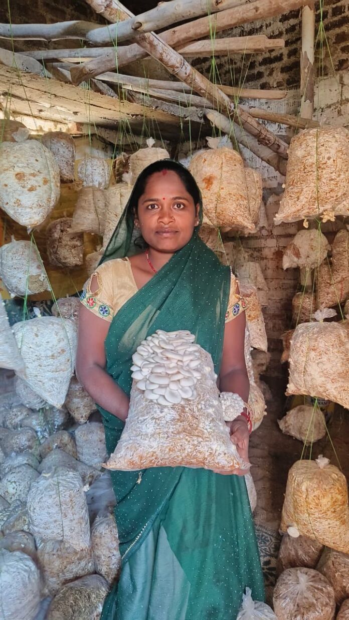 महतारी गौरव वर्ष में सशक्त हो रही छत्तीसगढ़ की मातृशक्ति