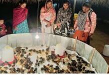 मुर्गीपालन से बदली अनुसुइया नेताम की जिंदगी…शासन के आर्थिक सहयोग और स्वयं की मेहनत से बनीं आत्मनिर्भर मुर्गीपालन से बदली अनुसुइया नेताम की जिंदगी...शासन के आर्थिक सहयोग और स्वयं की मेहनत से बनीं आत्मनिर्भर