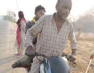 अवैध शिकार के खिलाफ वन विभाग की बड़ी कार्रवाई, सात आरोपी गिरफ्तार अवैध शिकार के खिलाफ वन विभाग की बड़ी कार्रवाई, सात आरोपी गिरफ्तार